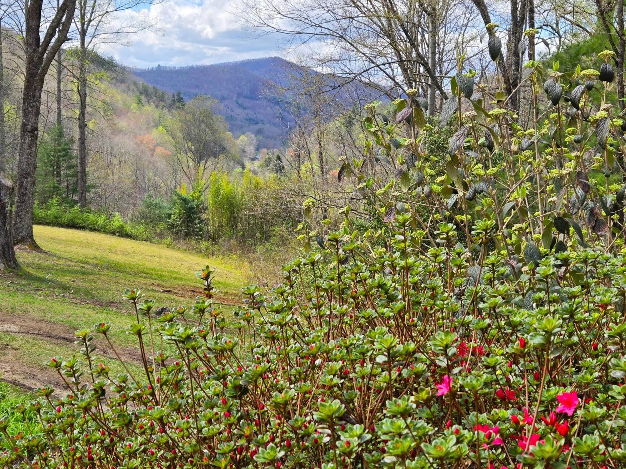 Bryson City Creekside Home With Hot Tub- 3 Bedroom-2 Bath Home Kültér fotó